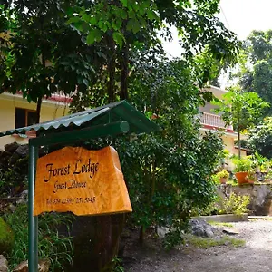 3* Affittacamere Forest